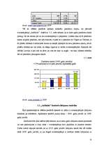 Referāts '"Air Baltic" mārketinga darbība', 17.