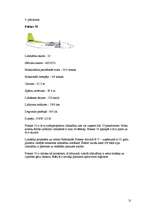 Referāts '"Air Baltic" mārketinga darbība', 30.