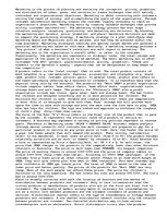 Eseja 'Marketing Mix Paper', 1.