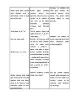 Konspekts 'Latviešu valodas stunda', 2.