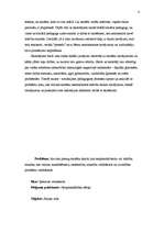 Referāts 'Pusaudžu skolas neapmeklēšanas cēloņi', 4.