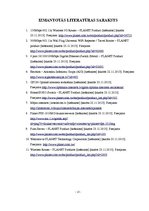 Referāts 'Dzīvojamās mājas datoru tīkla ierīkošanas koncepcijas izstrāde', 13.