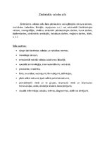 Konspekts 'Latviešu valodas funkcionālie stili', 4.