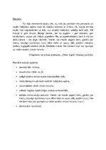 Konspekts 'Latviešu valodas funkcionālie stili', 11.