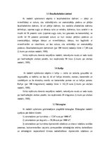 Referāts 'Akcīzes nodoklis Latvijā', 10.