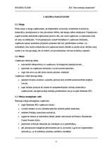 Biznesa plāns 'SIA "Jūsu nodokļu konsultanti"', 8.