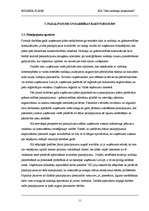 Biznesa plāns 'SIA "Jūsu nodokļu konsultanti"', 11.