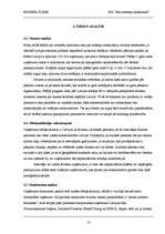 Biznesa plāns 'SIA "Jūsu nodokļu konsultanti"', 13.