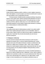 Biznesa plāns 'SIA "Jūsu nodokļu konsultanti"', 15.