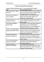 Biznesa plāns 'SIA "Jūsu nodokļu konsultanti"', 18.