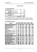 Biznesa plāns 'SIA "Jūsu nodokļu konsultanti"', 19.