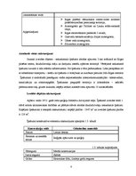 Biznesa plāns 'Pašapkalpošanās pārtikas veikala izveide Rīgā', 4.