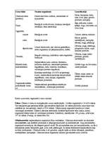 Konspekts 'Uzturvielas', 1.