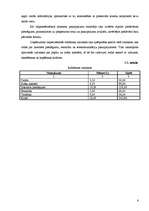 Biznesa plāns 'Biznesa plāns SIA "R" ', 6.