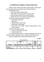 Biznesa plāns 'Biznesa plāns SIA "R" ', 11.