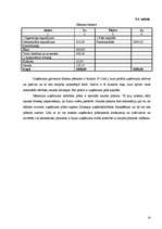 Biznesa plāns 'Biznesa plāns SIA "R" ', 14.