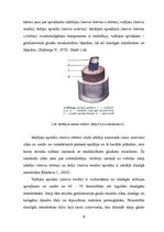 Referāts 'Apakšējo ekstremitāšu asinsrite un biežākie asins apgādes traucējumi', 6.