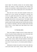 Referāts 'Apakšējo ekstremitāšu asinsrite un biežākie asins apgādes traucējumi', 7.