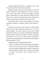 Referāts 'Apakšējo ekstremitāšu asinsrite un biežākie asins apgādes traucējumi', 11.