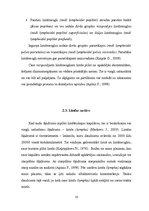 Referāts 'Apakšējo ekstremitāšu asinsrite un biežākie asins apgādes traucējumi', 12.