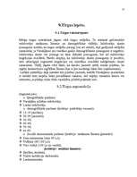 Biznesa plāns 'SIA "Globaltrans"', 11.