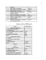 Biznesa plāns 'SIA "Globaltrans"', 19.