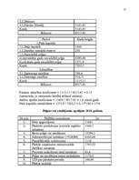 Biznesa plāns 'SIA "Globaltrans"', 23.