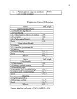 Biznesa plāns 'SIA "Globaltrans"', 24.