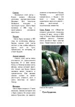 Referāts 'Мировая религия - буддизм', 43.