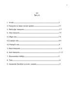 Referāts 'Latvijas transporta apraksts', 2.