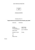 Paraugs 'Cēlējspēka koeficienta eksperimentālā noteikšana lidmašīnas spārna profilam', 1.