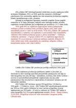 Referāts 'Par tipogrāfiju "Zalktis ZB"', 5.