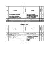 Referāts 'Par tipogrāfiju "Zalktis ZB"', 19.