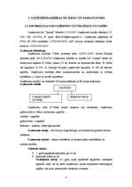 Biznesa plāns 'SIA "Grauds"', 4.