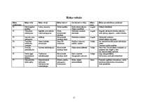 Biznesa plāns 'SIA "Grauds"', 11.