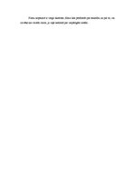 Eseja 'Dokumentālās filmas "Filosofs izbēdzis" analīze', 2.