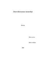 Referāts 'Dienvidkurzemes tautastērpi', 1.