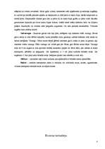 Referāts 'Dienvidkurzemes tautastērpi', 8.