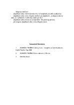 Referāts 'Romas tiesības', 6.