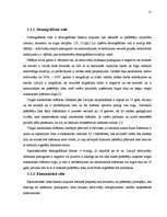 Referāts 'Tirgus izpēte a/s "Cēsu alus" vieglajiem alkoholiskajiem dzērieniem', 17.