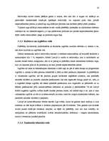 Referāts 'Tirgus izpēte a/s "Cēsu alus" vieglajiem alkoholiskajiem dzērieniem', 18.