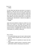 Referāts 'Japāņu biznesa etiķetes īpatnības', 7.