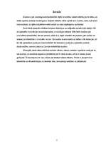 Referāts 'Kultūra', 1.