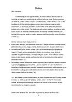 Referāts 'Kultūra', 2.