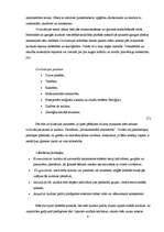 Referāts 'Kultūra', 4.