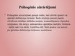 Prezentācija 'Pacientu izglītošana ar hroniskiem aizcietējumiem', 9.