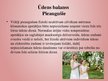 Prezentācija 'Pacientu izglītošana ar hroniskiem aizcietējumiem', 23.