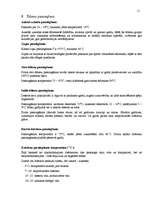 Referāts 'Banketa dokumentācijas izstrāde', 11.