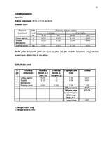 Referāts 'Banketa dokumentācijas izstrāde', 13.