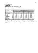 Referāts 'Banketa dokumentācijas izstrāde', 14.